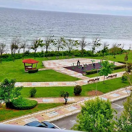 амон ра 프리모르스코