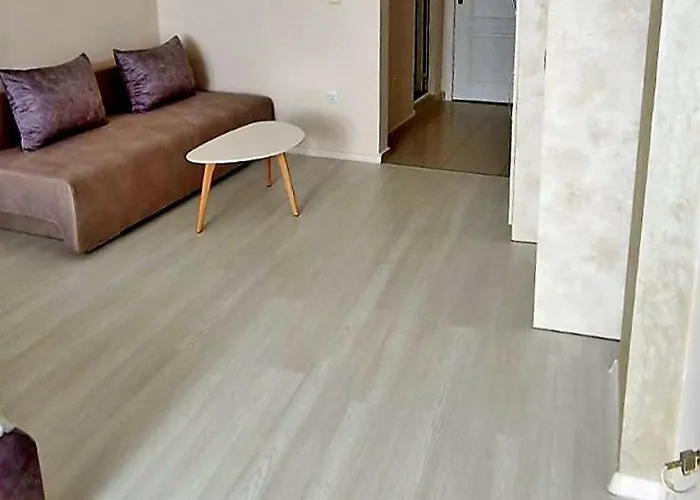 амон ра * 프리모르스코