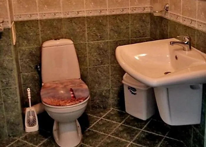 招待所 амон ра